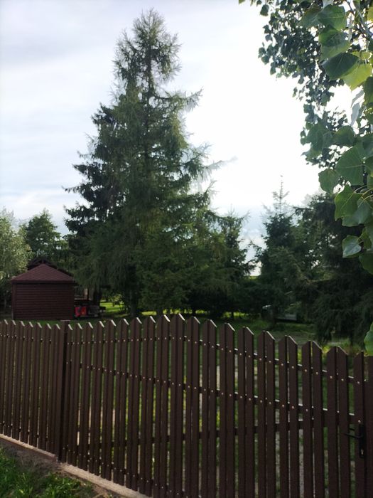 Noclegi dla firm,, Noclegi, Wąbrzeźno ,Radzyń chełmiński,Kowalewo