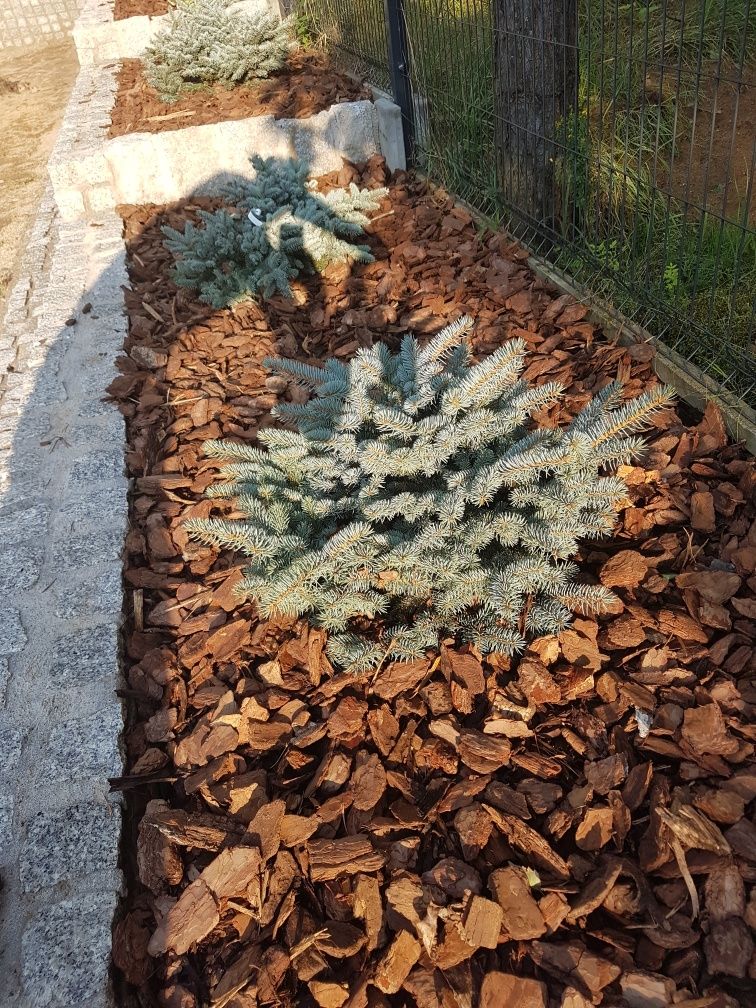 Kora sosnowa gruba średnia drobna  Ziemia Torf