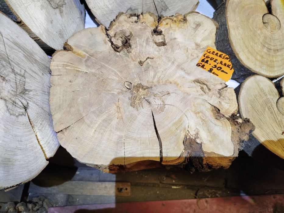 Plastry z drewna (Grab,Cis,Śliwa Węgierka, Czereśnia,Jesion,Buk,Brzoza