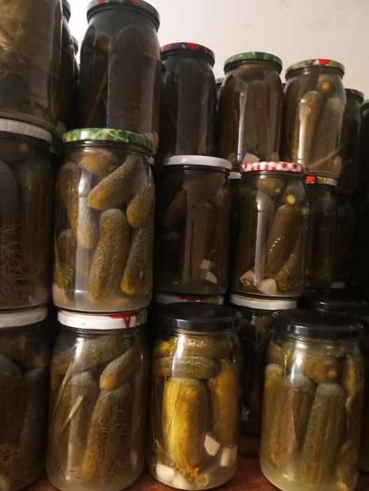 4x Ogórki Kiszone, 2025, link do użycia