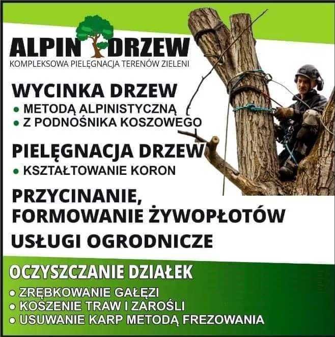 Wycinka drzew trudnodosępnych.
