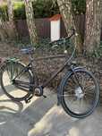 Batavus dinsdag 7D holenderski