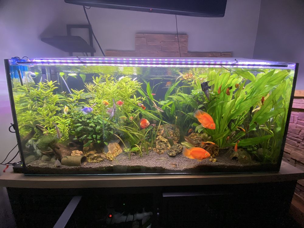 Szkło Akwarium 300l 120x50x50