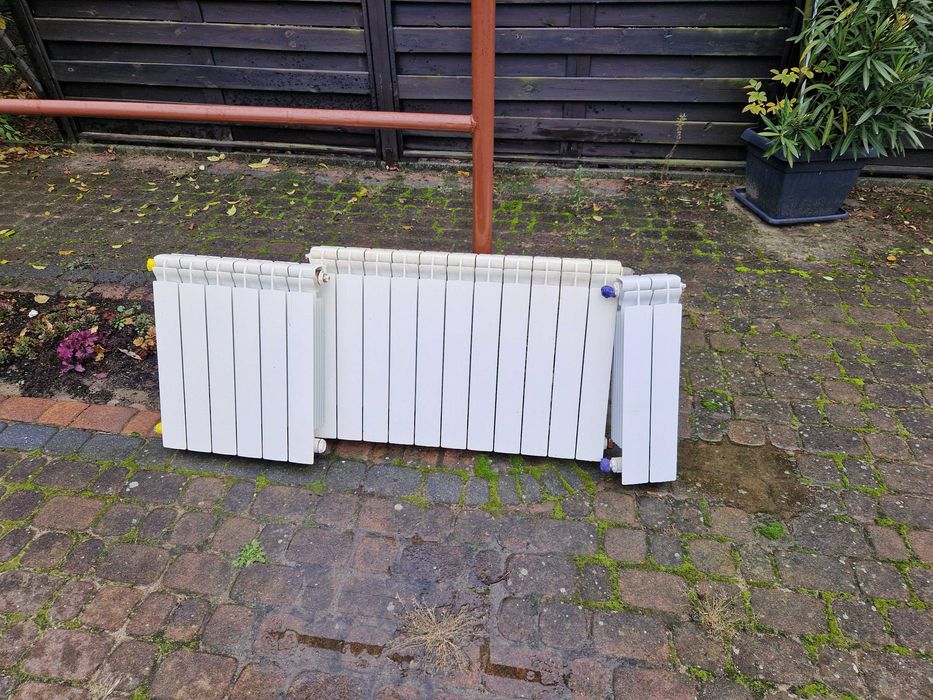 Grzejniki żeberkowe aluminiowe