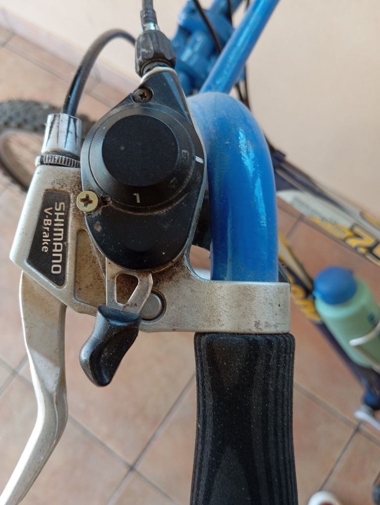 Bicicleta Bianchi