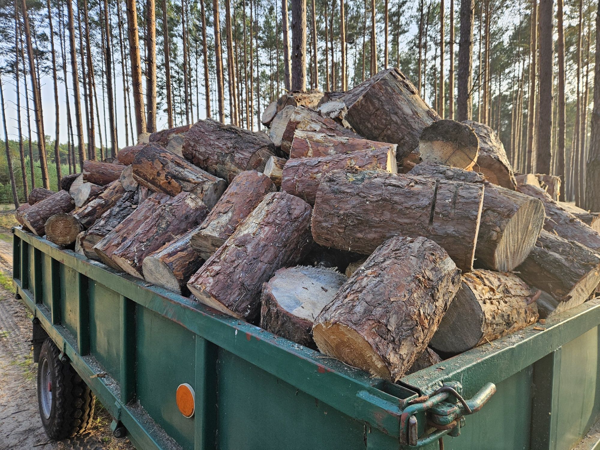 Drewno sosnowe klocki. Opał