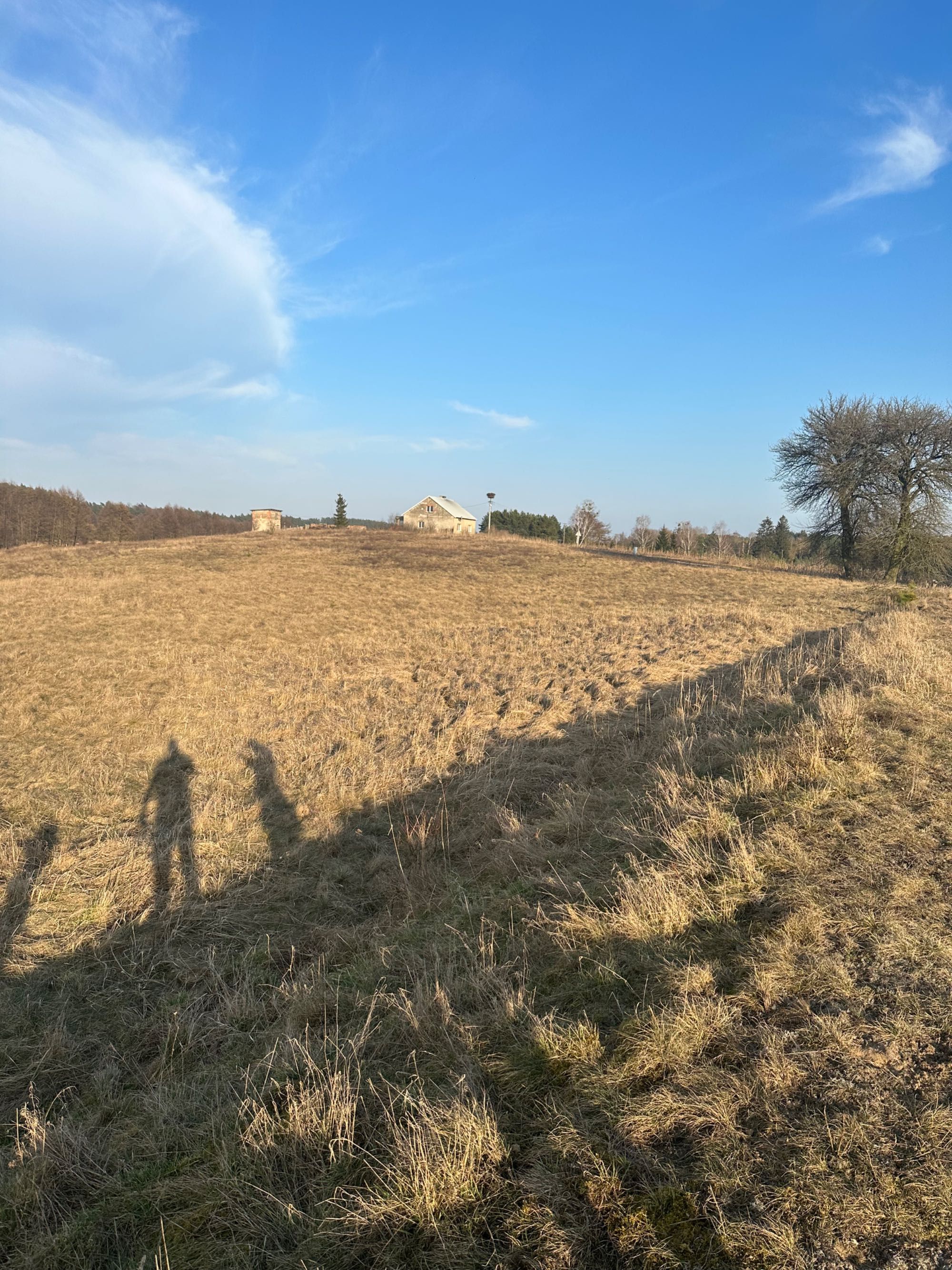 Działka budowlana 29a + 29a z gotowym projektem domu. Natura 2000