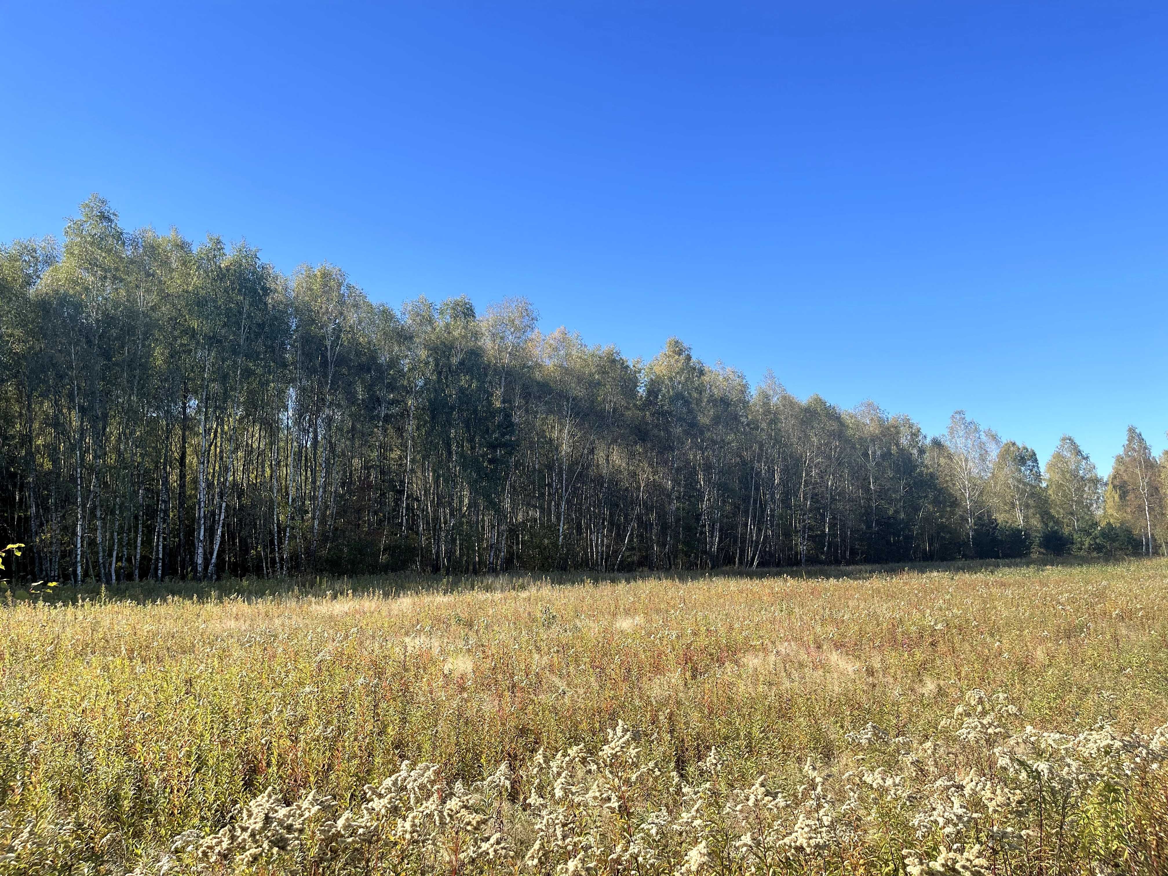 Budowlane, Żabieniec g. Parysów, przy granicy z g. Garwolin i g.Pilawa