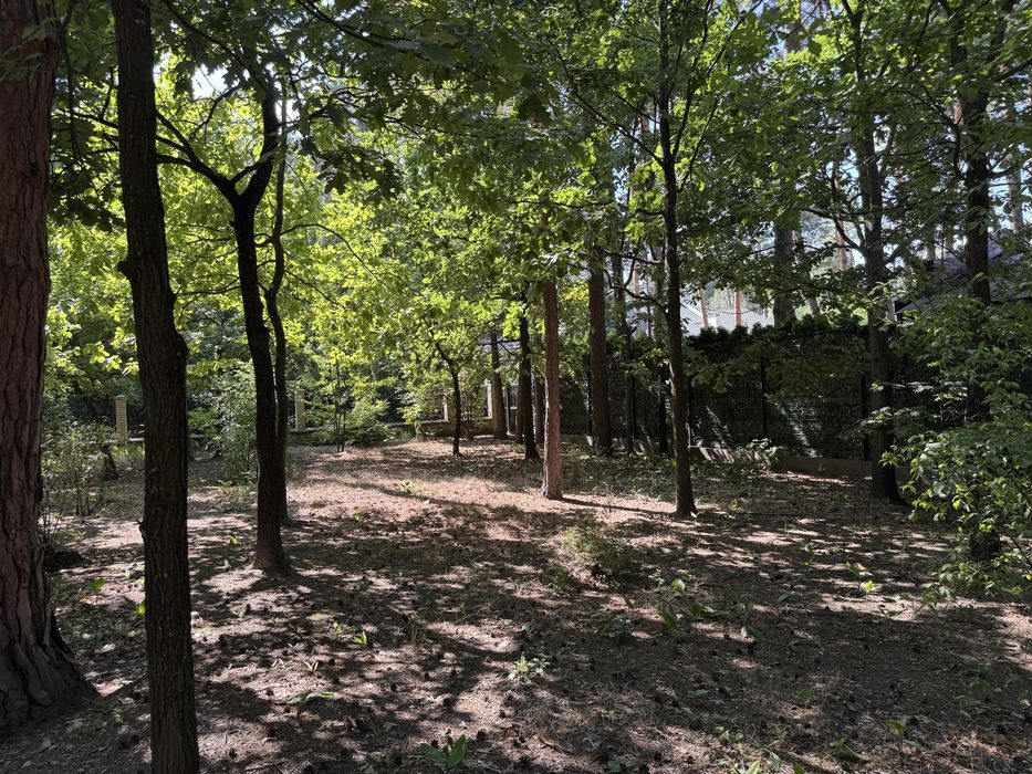 Козин. Котеджне містечко Сосновий Бір. Без %