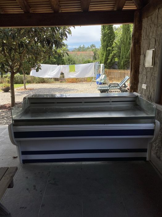 Vitrine frio peixaria