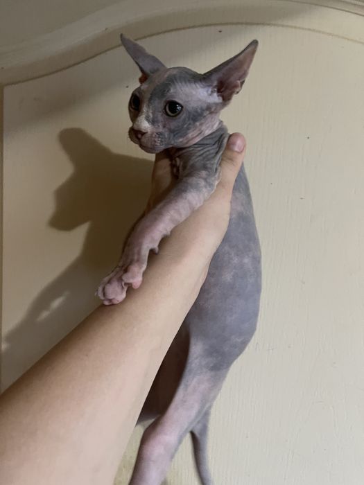 Неймовірна неземна красота