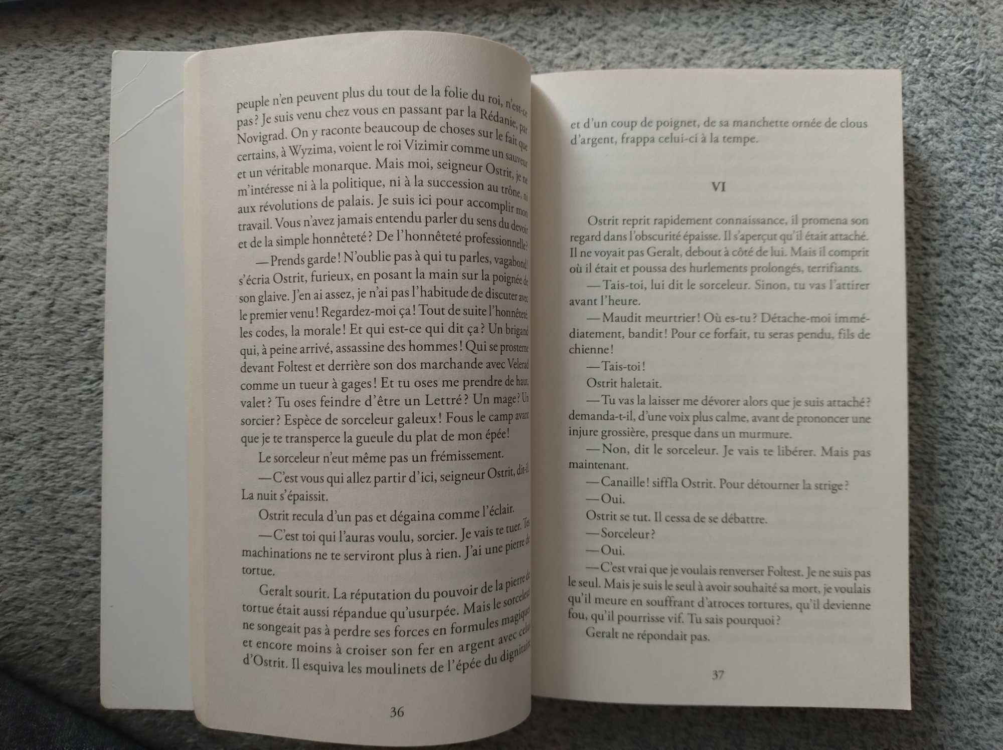 Sapkowski - Sorceleur - Le dernier Vœu. Wiedźmin po francusku