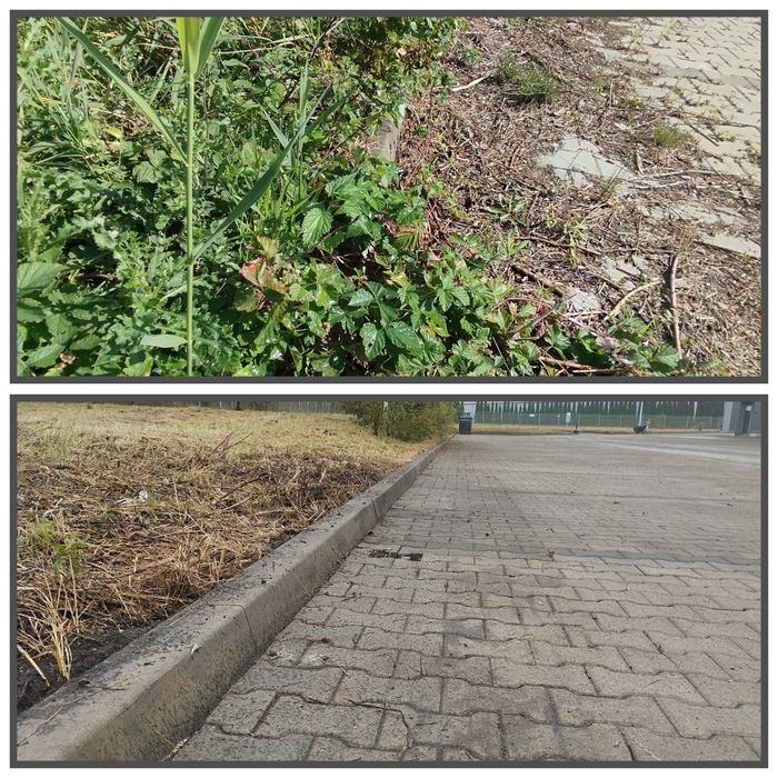 Zamiatarka Czyszczanie, oczyszczanie, zamiatanie kostki, placu, drogi.