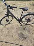 Trek damka trekingowy T500