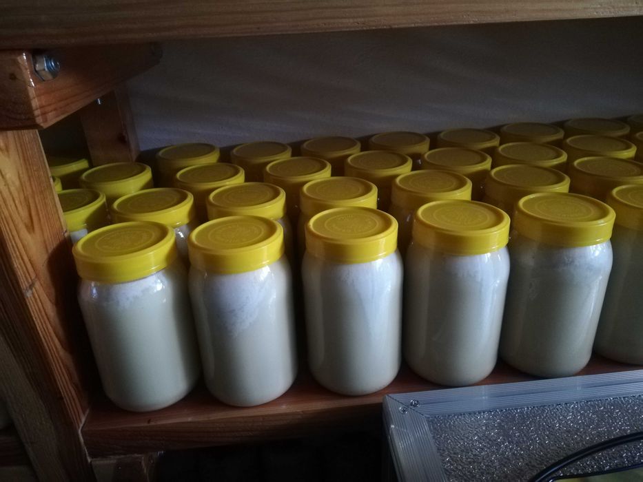 Miód wielokwiatowy i rzepakowy , tylko i wyłącznie z własnej pasieki.