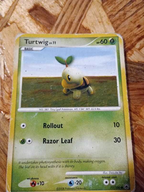 Turtwig 77 / 100