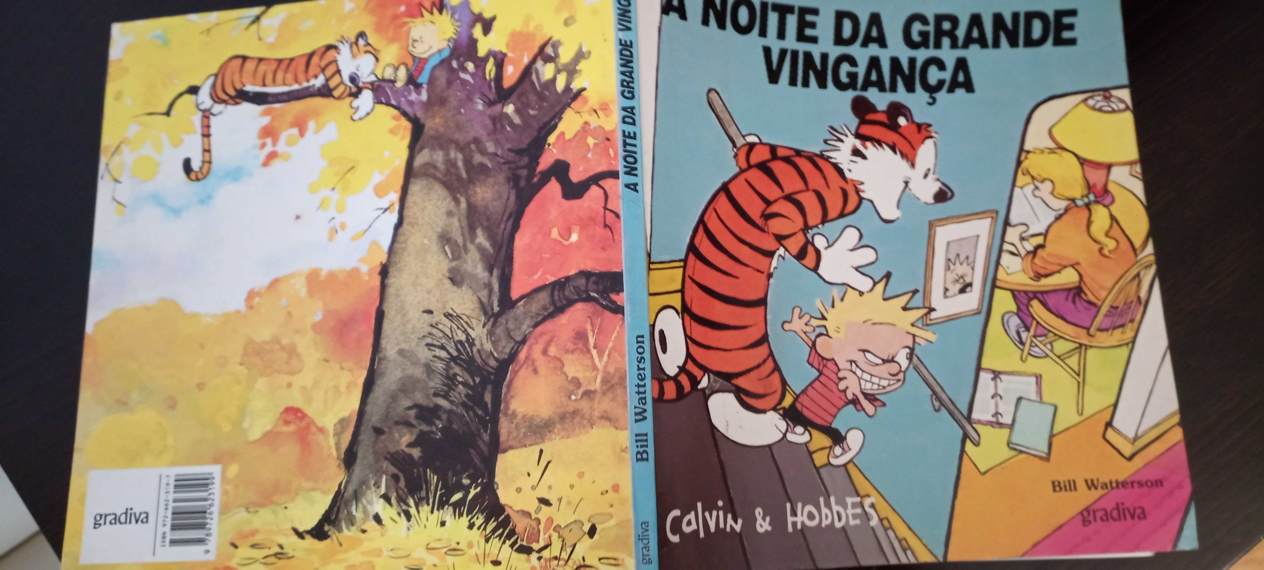 Livros Calvin e Hobbes