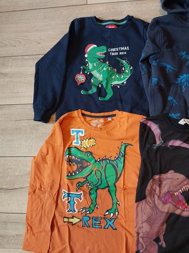 Zestaw bluz dinozaury