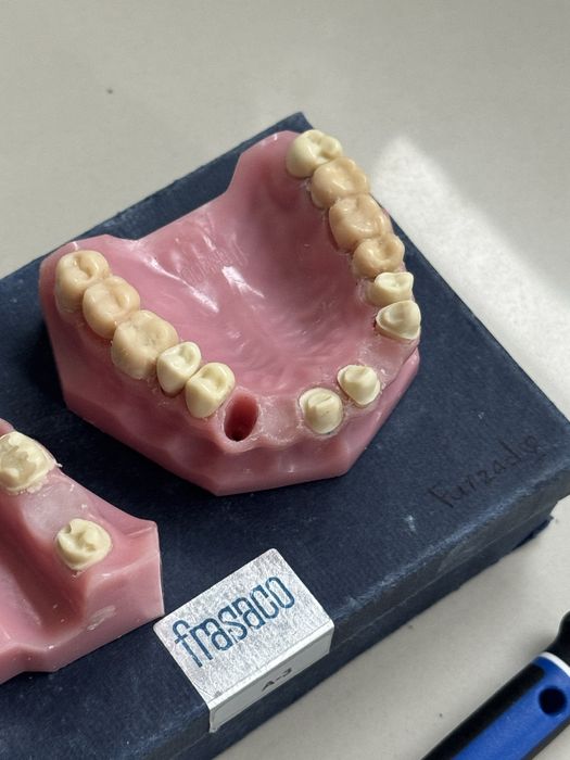 Dental Model Set – Frasaco A3