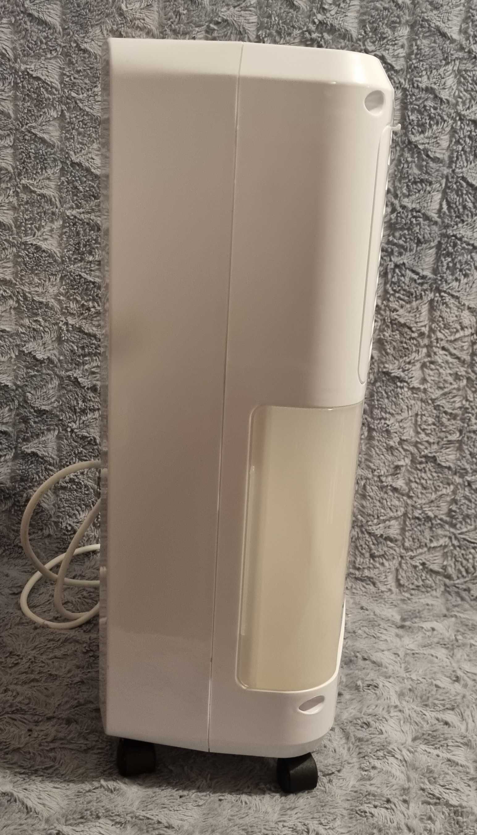 Osuszacz powietrza Olimpia Splendid Aquaria Slim 10 P 2 L 42 dB 262 W