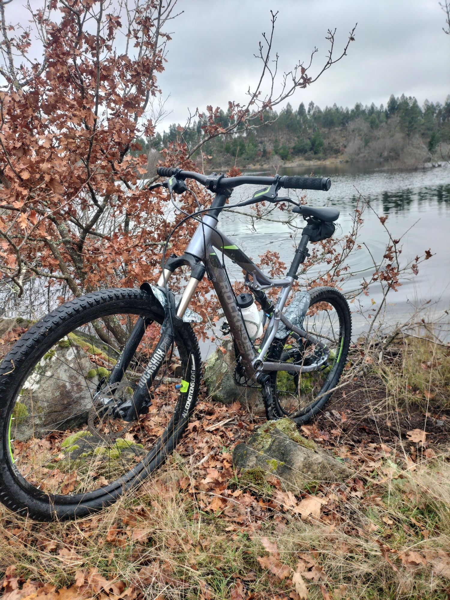 Rockrider 900s..