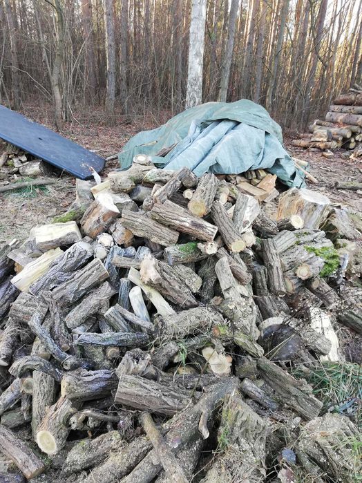 Drzewo drewno opałowe sosna 250zł kominkowe dąb akacja  brzoza