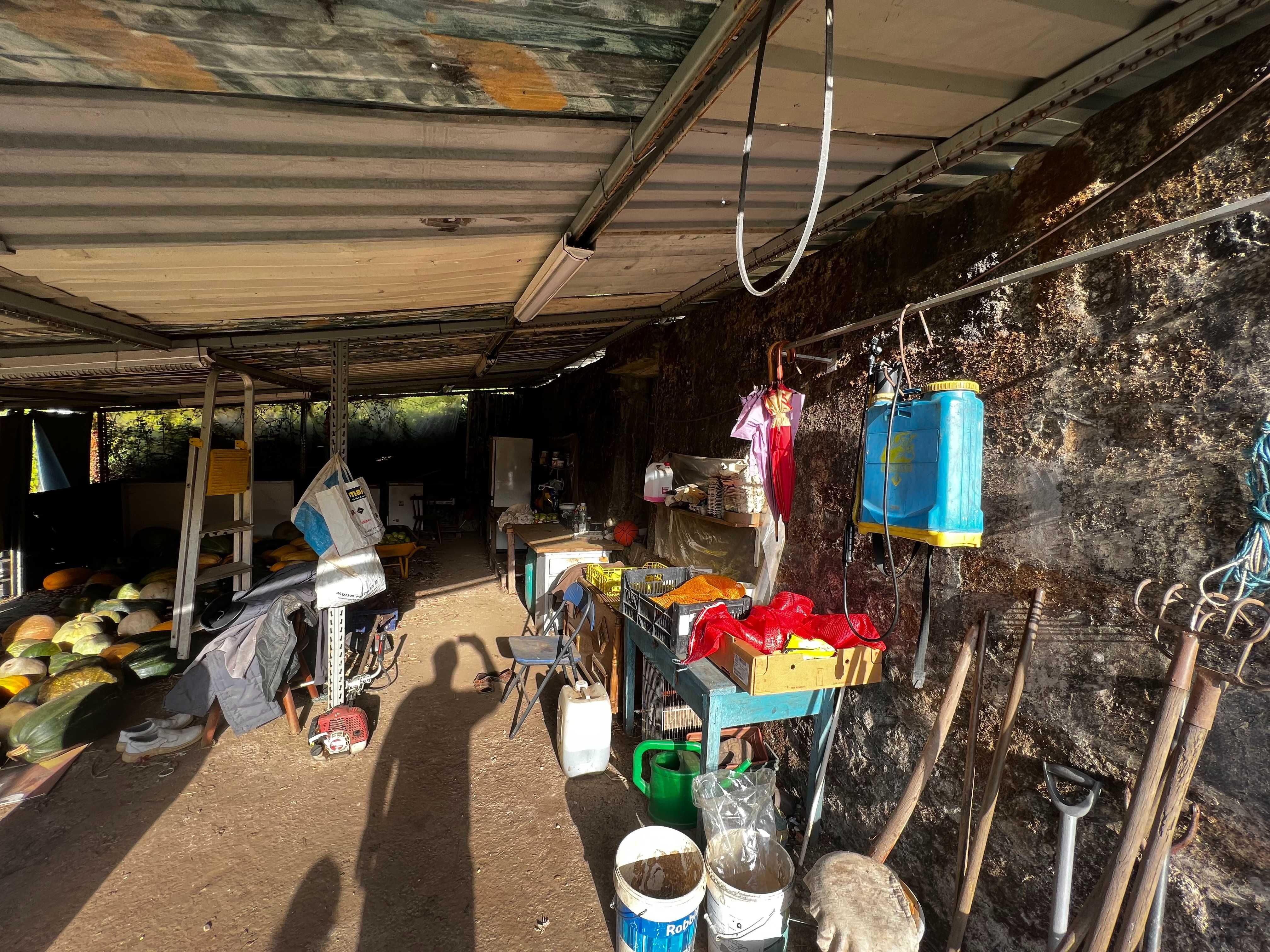 Alugo terreno + 9000 m2 com Luz e água, Seguro, Quinta Fechada