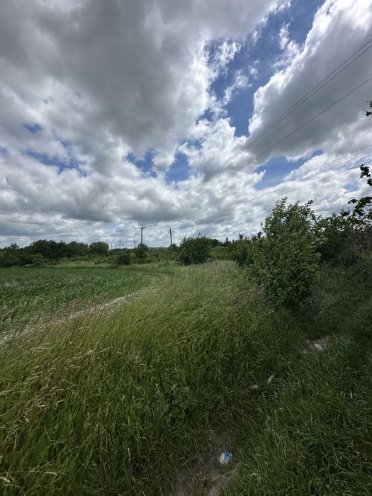 Продаж ділянки в с. Дроговиж (на межі з м.Миколаїв)