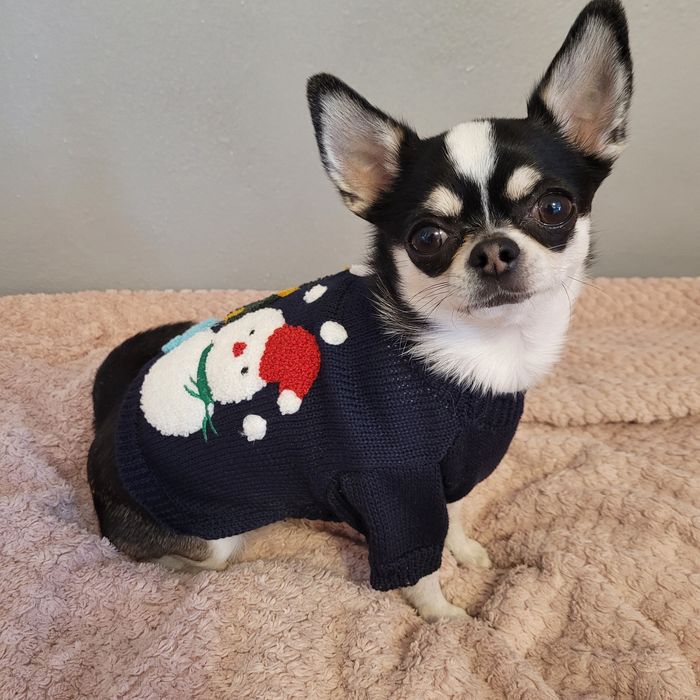 Sweter świąteczny dla małego psa ROZMIAR S bałwanek i choinka