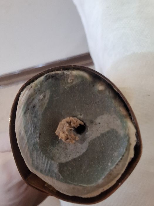 Ікла,  роги  16 сантиметрів