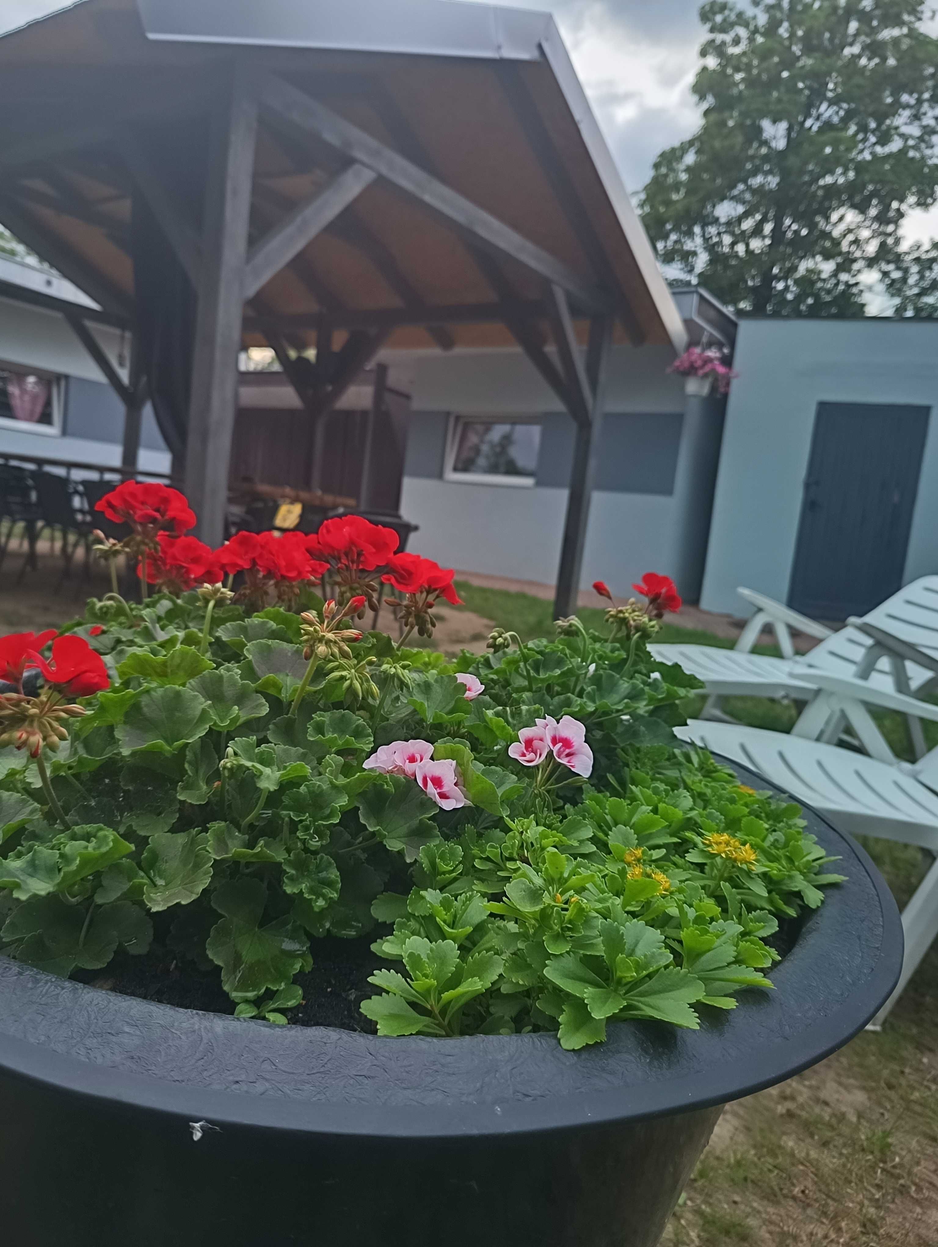 Domki nad jeziorem w Osiecznej CAŁOROCZNY