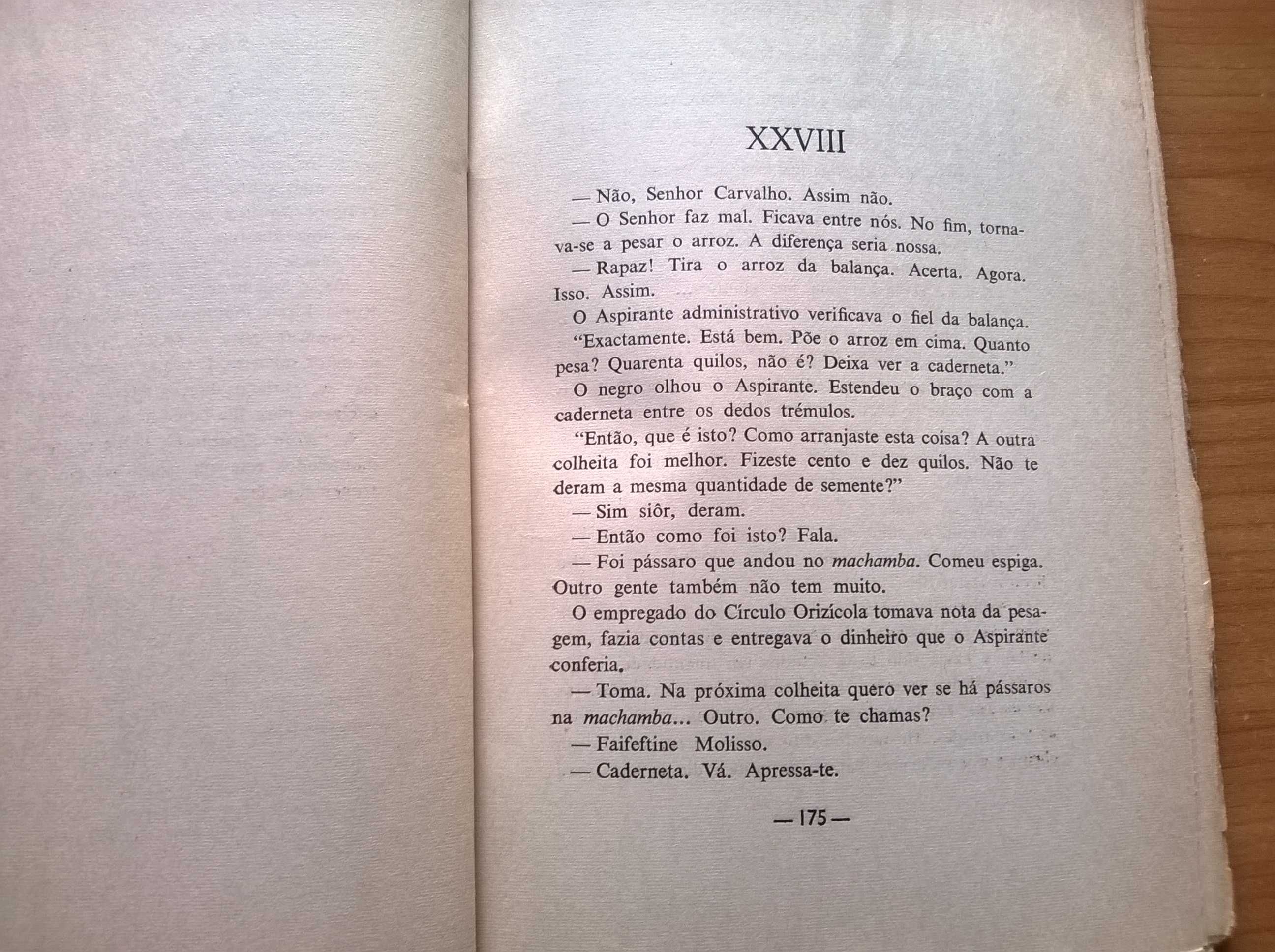 " Calanga " (1.ª edição) - Rodrigues Júnior