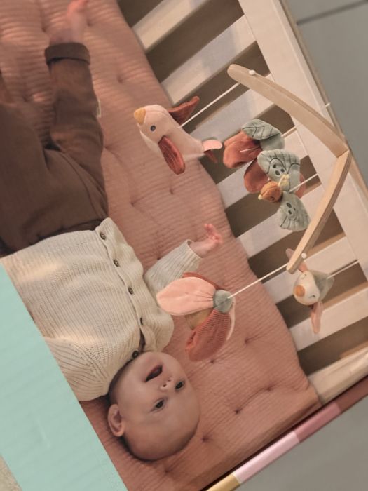 Karuzela little dutch