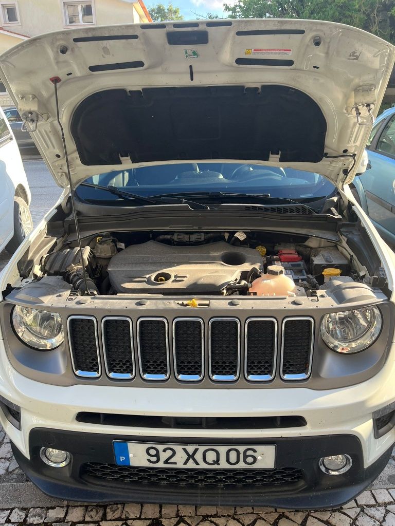 Jeep renegade 2019