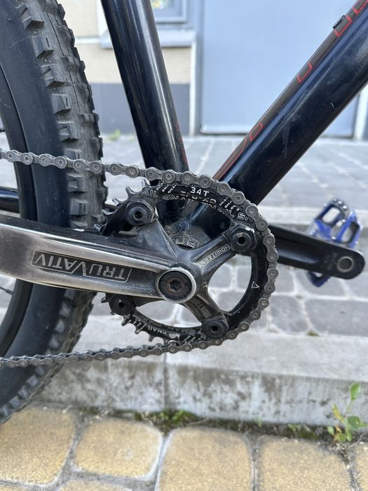 DARTMOOR sparrow intro 2021