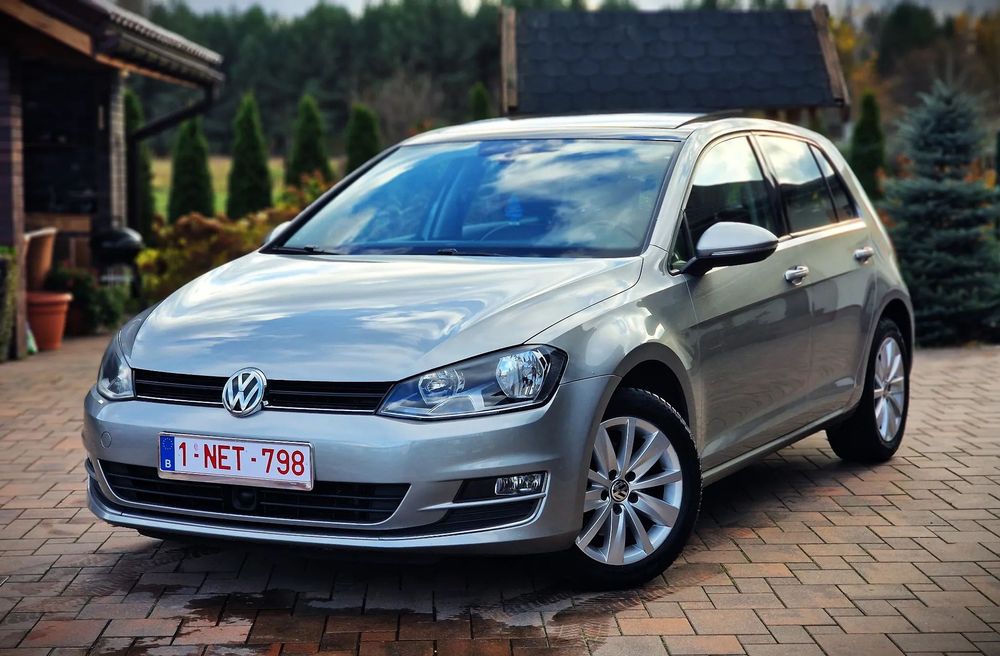 Volkswagen Golf Radar, Brązowe skóry, Kamera cofania, Chowany Hak