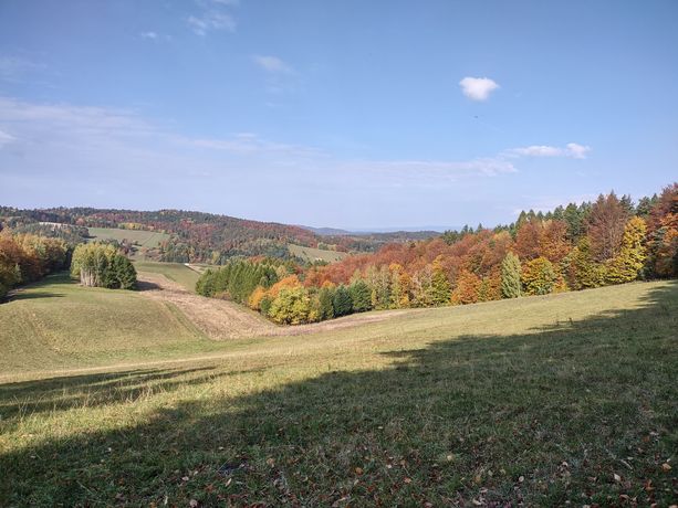 Działka Bieszczady