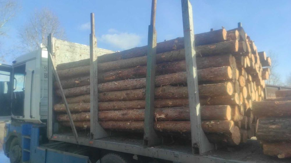 Пиловочник / лес кругляк 4м для строительства | 14-20см | есть НДС