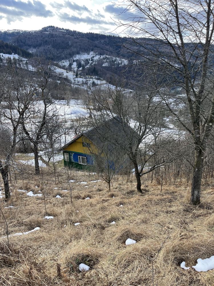 Приватний будинок з ділянкою