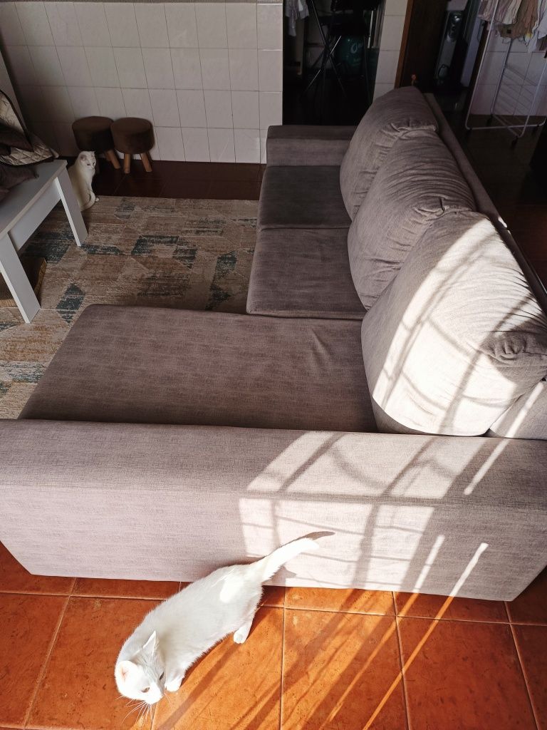 Sofá cama e bau.