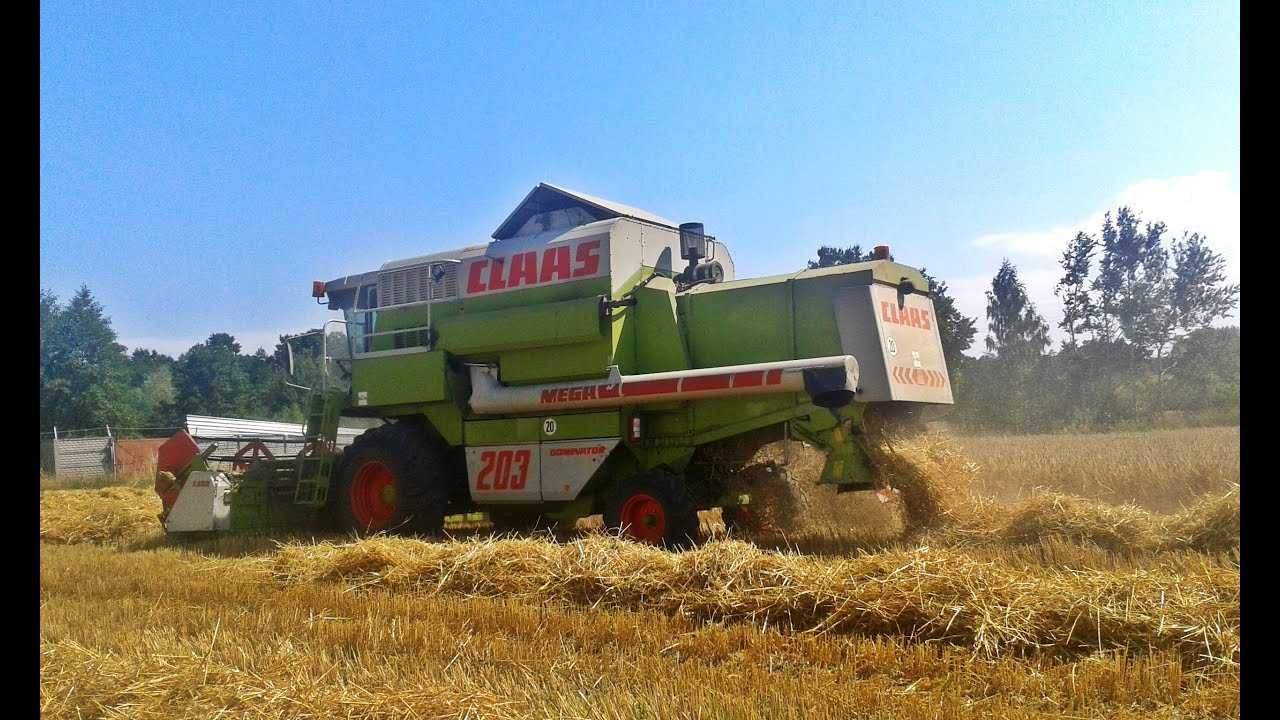 KOSZENIE  ZBÓŻ  KUKURYDZY    i SKUP !! Usługi Rolnicze