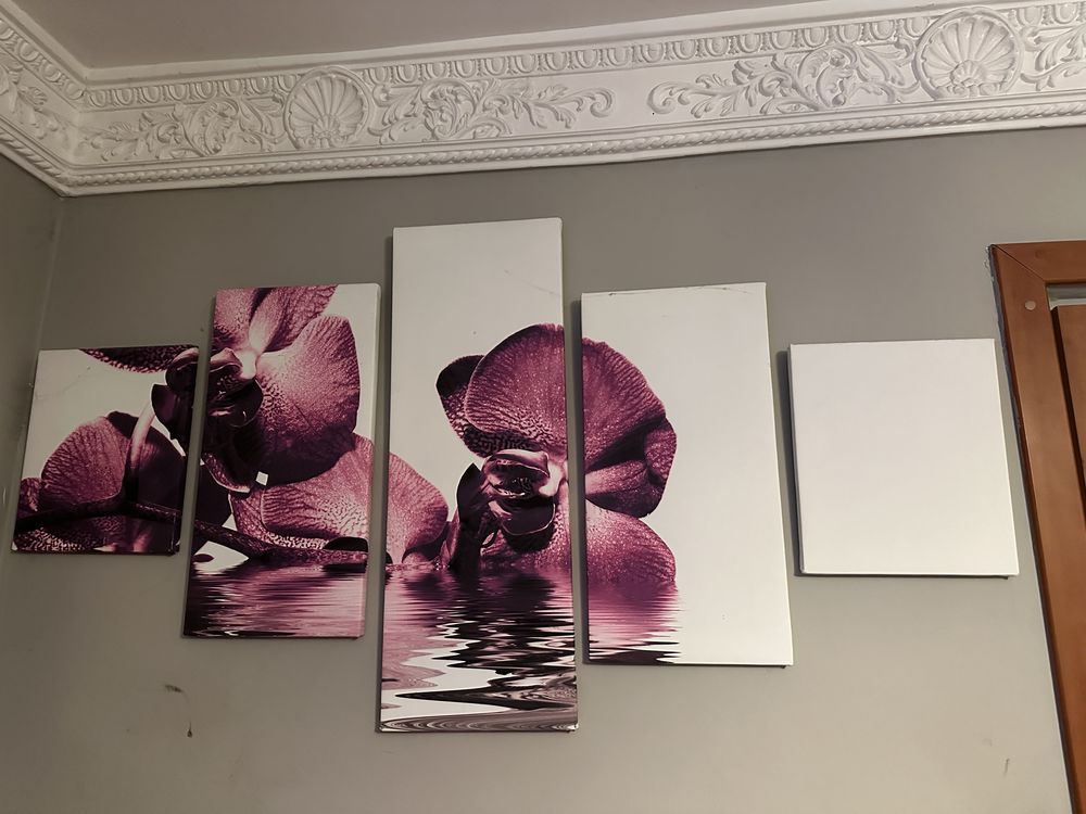 Obraz 5 częściowy / relax orchidea w wodzie okazja