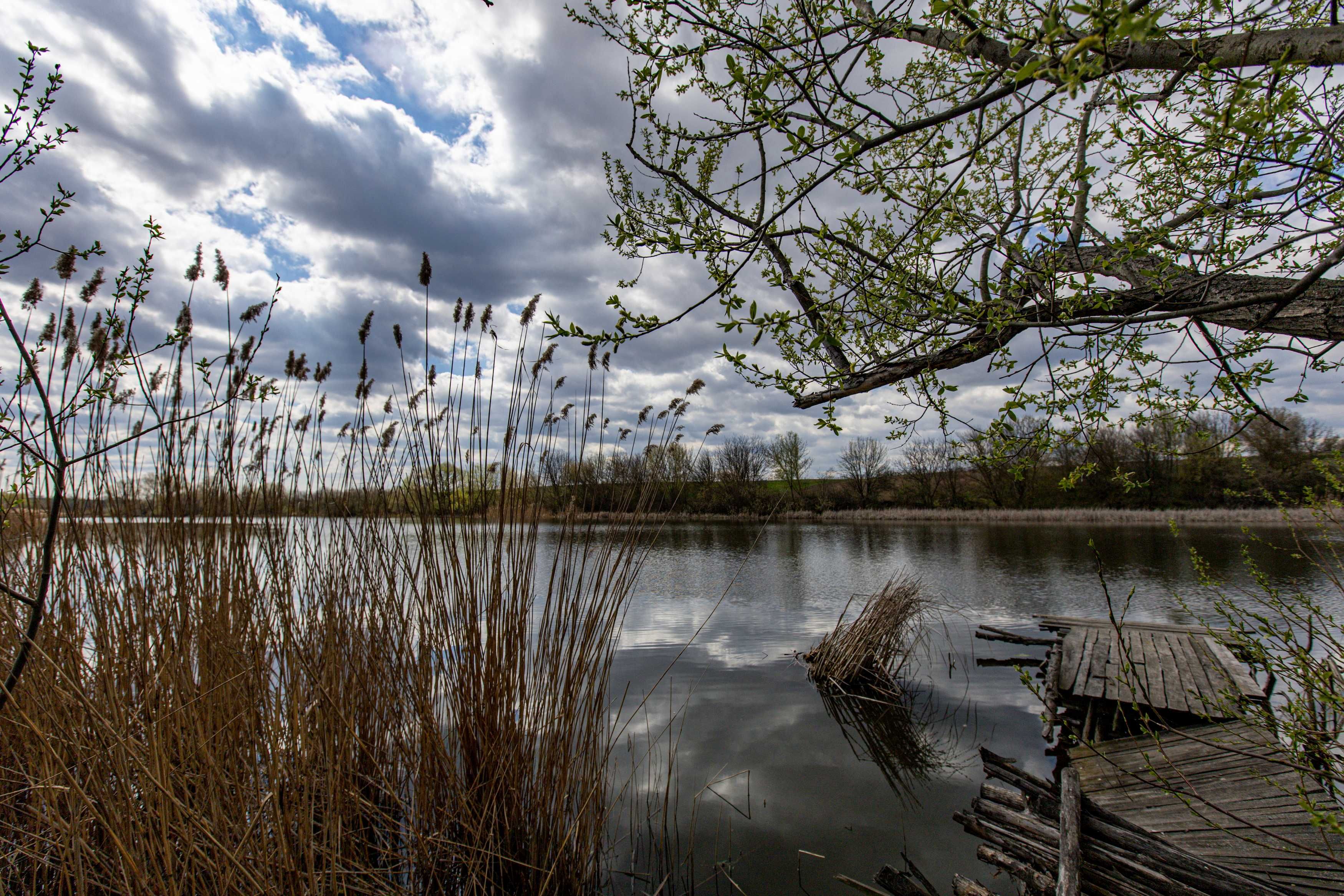 Продаж будинку село Кашперівка Білоцерківський р-н