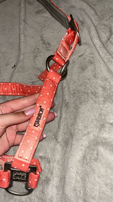 Kantar eskadron nici peachy