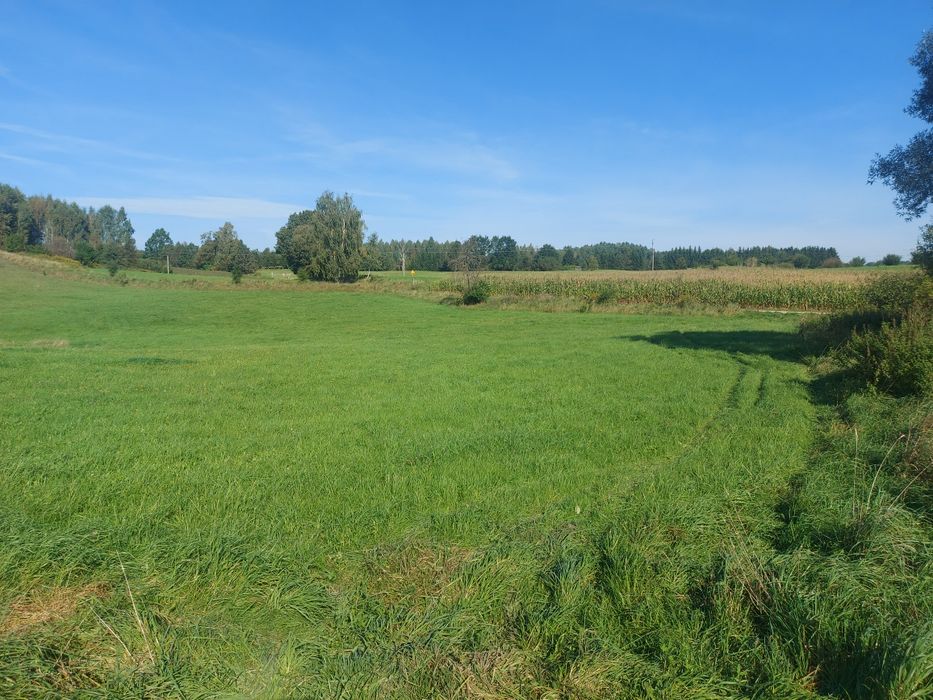 Działka rolna Porbady