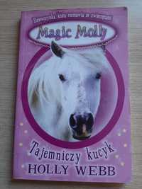 "Tajemniczy kucyk" Magic Molly, książka dla dzieci autorstwa Holly Web