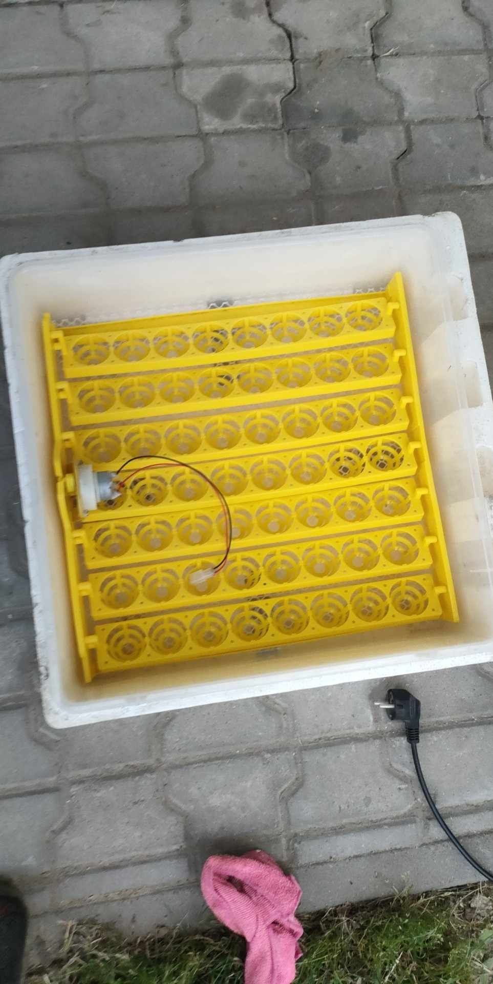 Inkubator Ecosmart na 56 jaj
