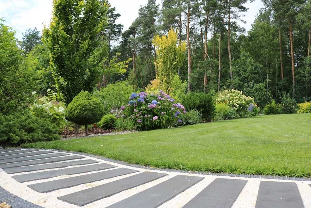 Wertykulacja i Aeracja trawników - Regeneracja trawnika