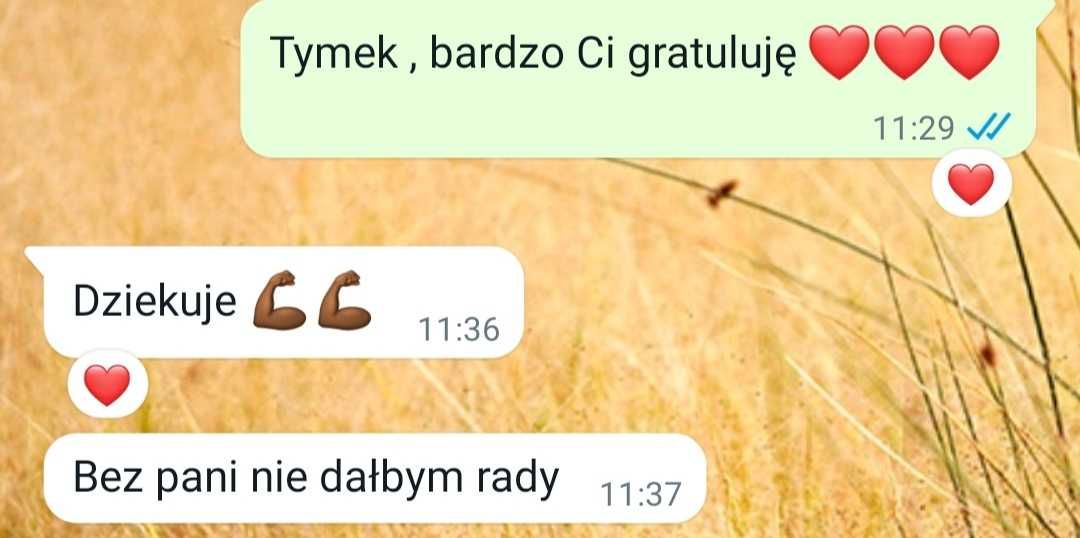Nauczyciel  polskiego przygotowujący  do poprawek , online i w domu .