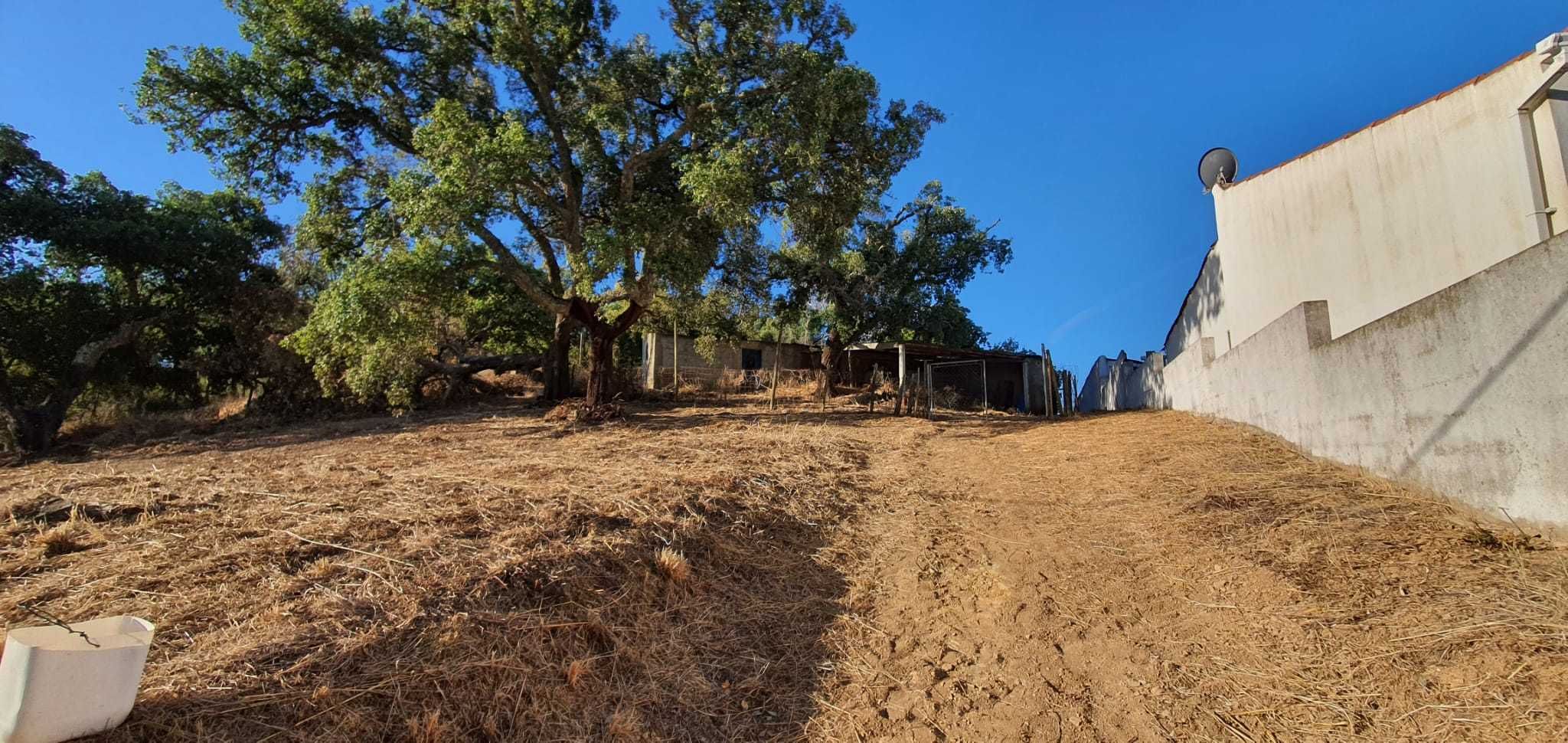 Terreno rústico com armazém, curral e medronheiros | 990 m 2